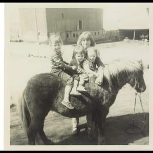 Meet your Posher, Linda